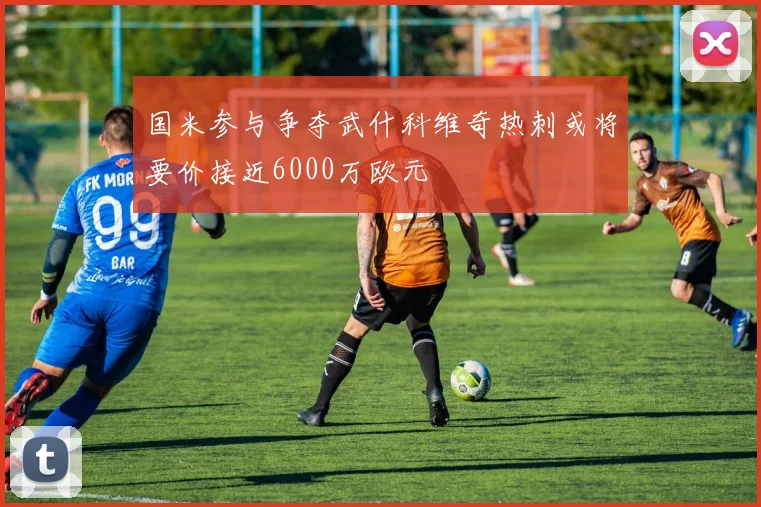 国米参与争夺武什科维奇热刺或将要价接近6000万欧元